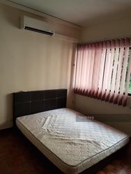 Vista Park (enbloc) (D5), Condominium #116458012